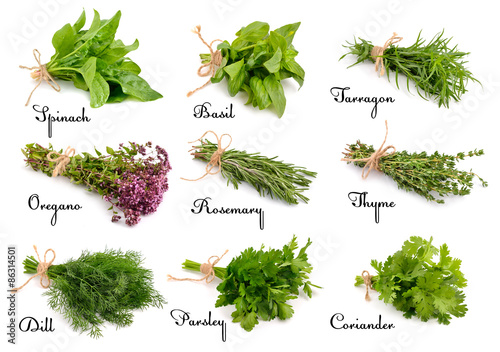 Collection of cooking herbs and spices.