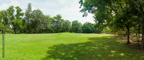 green grass field in big city park
