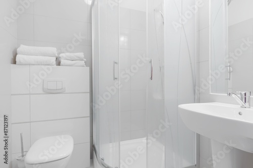 Lacobel White pure toilet interior