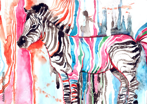 zebra