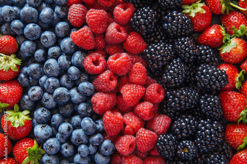Healthy mixed fruit and ingredients from top view Poster