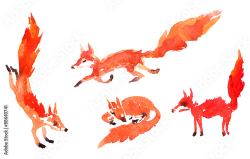 "set of watercolor foxes" Stock photo and royalty-free images on