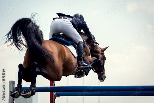 Zdjęcia Equestrian Sports
