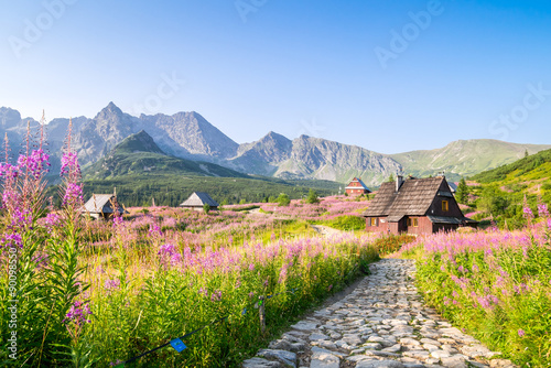 drewniane-chaty-rozproszone-na-kwiecistej-lace