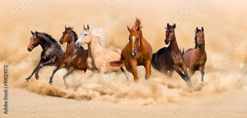 Obraz Fotograficzny Horse herd run in desert sand storm