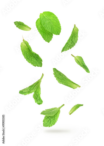 green mint leaves falling in the air isolated on white backgroun