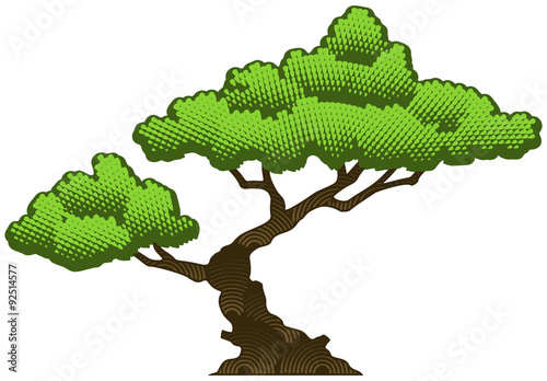 "Bonsai tree, vector illustration." Stock image and royalty-free vector