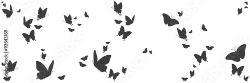 Fototapeta Silhouetten von Schmetterlingen