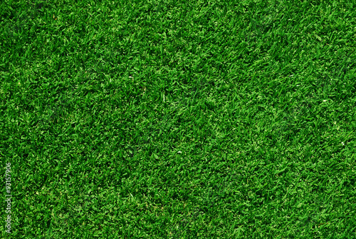 green grass background