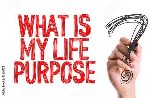My purpose in life essay