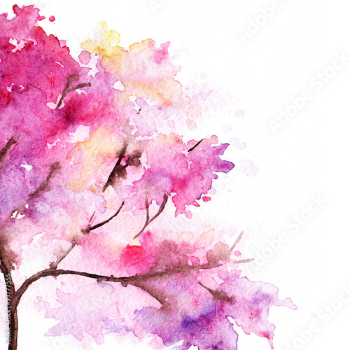 pojedynczy-czeresniowy-sakura-menchii-drzewo-odizolowywajacy