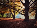 jogging autunnale