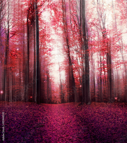 red-magic-misty-forest-with-mysterious-lights
