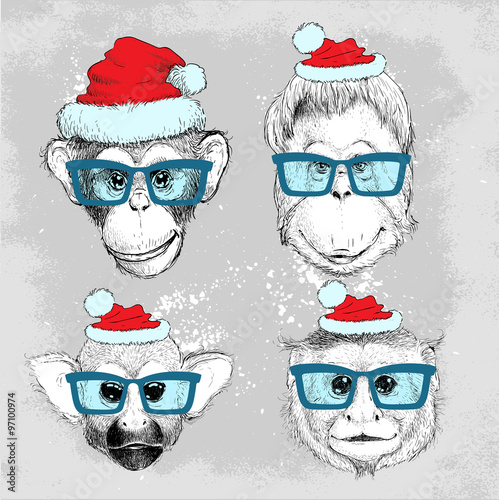 hipster-malpa-twarze-zestaw-z-niebieskie-okulary-i-kapelusz-bozego-narodzenia-wesolych-swiat-i-szczesliwego-nowego-roku-ilustracji-wektorowych-na-projekt-plakatu-plakaty-drukowanie-mody-i-wlokienniczych