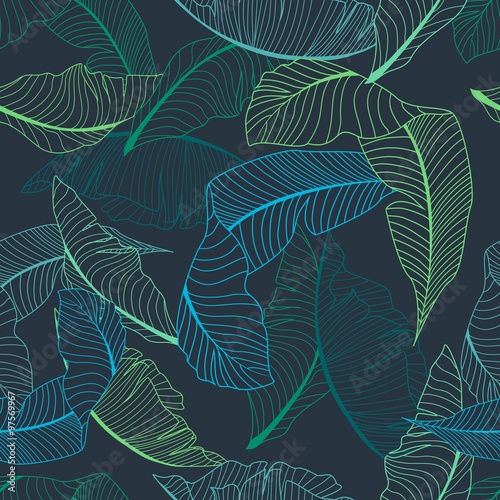 palm pattern