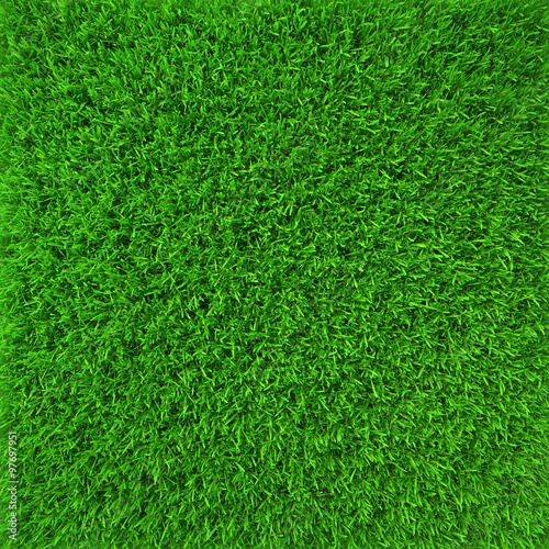 Green lawn grass background texture close-up. 3d render