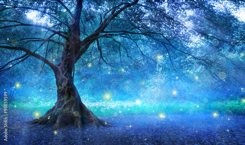 fairy-tree-dans-la-foret-mystique