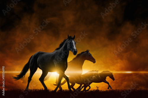 Obraz na płótnie Four running black horses