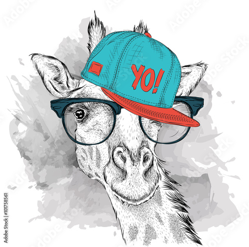  The poster with the image giraffe portrait in hip-hop hat. Vector illustration.