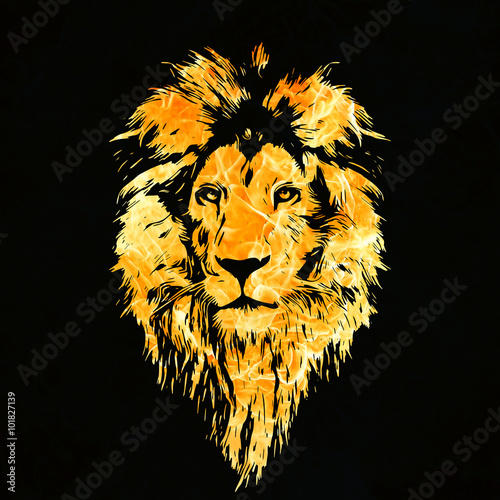 Obraz Fotograficzny Portrait of a Beautiful lion, lion in Fire flames
