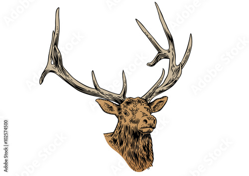 Lacobel Head of deer