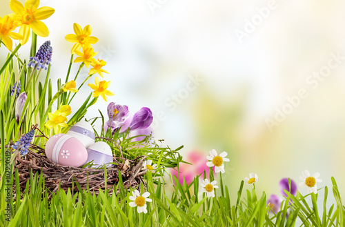 Fresh spring background with Easter Eggs © exclusive-design