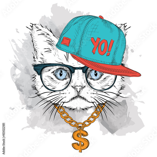 Lacobel The poster with the image cat portrait in hip-hop hat. Vector illustration.