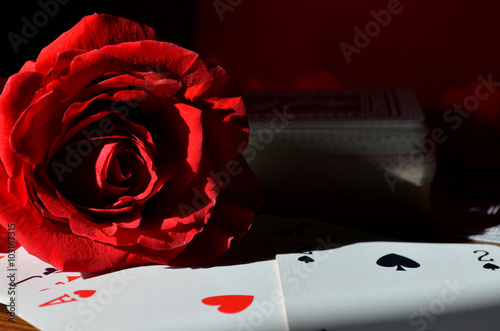 Poker rosa