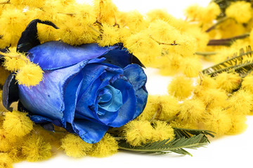 Afficher limage dorigine