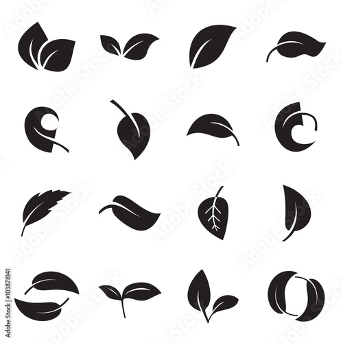Icons of leaves. Vector illustration