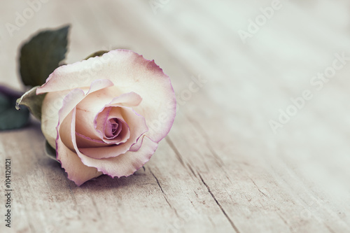 Vintage Rose
