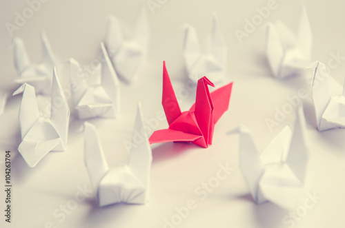 Poster Close up red bird flying different through a group of white bird, Game changer business