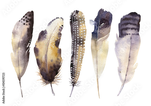 hand-drawn-watercolor-feather-set-boho-style-illustration-isol