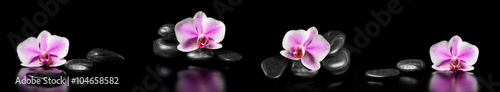 Lacobel Horizontal panorama with pink orchids and zen stones on black ba