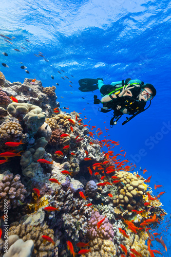 Fototapeta Scuba diver explore a coral reef showing ok sign