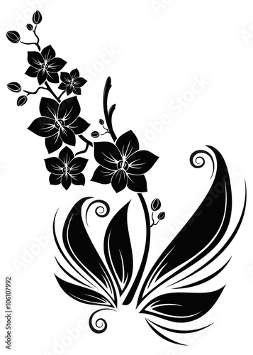 black orchids schwarze orchideen