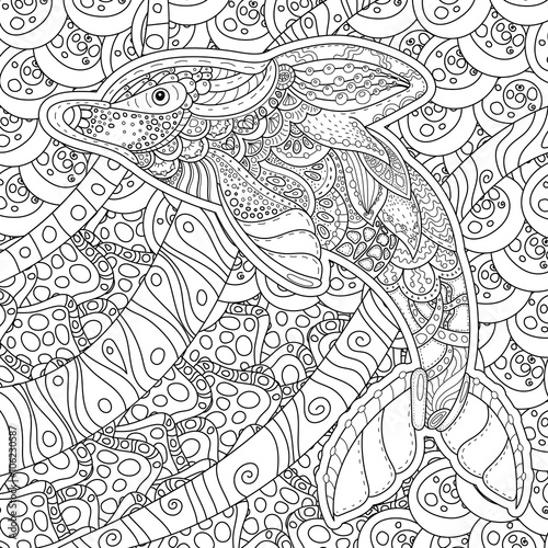 young adult dolphin coloring pages free - photo #10