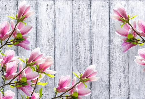 magnolia-kwitnie-na-tle-podlawe-drewniane-deski