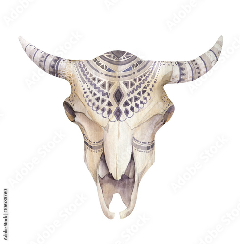 Lacobel Watercolor cow skull with flowers and feathers. Boho tribal styl
