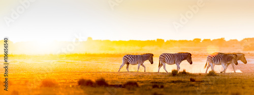 Africa Sunset Landscape