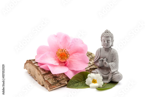 Poster Steine und Stamm Whitblume und Buddha