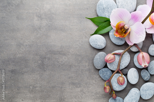 Spa orchid theme objects on grey background.