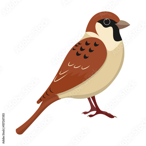 "cute sparrow cartoon vector illustration." Stock image and royalty