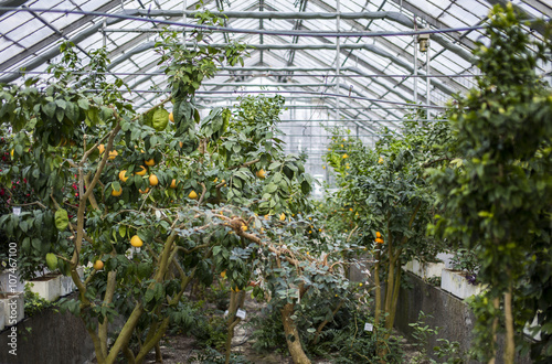 Ogród botaniczny