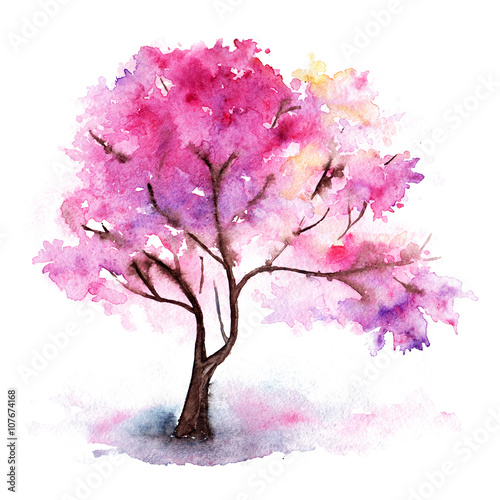 akwareli-samotny-rozowy-czeresniowy-sakura-drzewo-odizolowywajacy