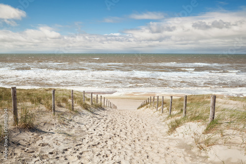 sand path to sea beach in sunny day