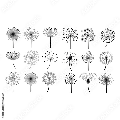 Obraz na płótnie Dandelion Fluffy Seeds Flowers Set