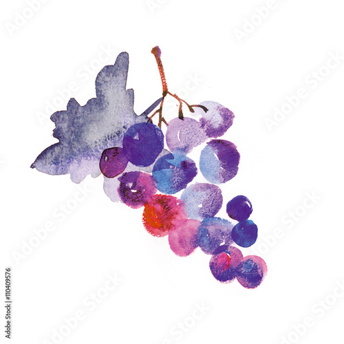 Zdjęcia watercolor hand made illustration of grapes