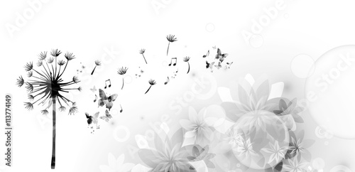 Obraz na płótnie Dandelion with butterflies thyme