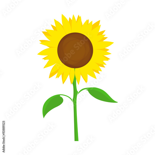 Sunflower Vector Symbol